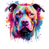 Pitbull Dog Splash Art Bunt