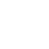 Raccoon Rock Guitar Jam