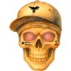 Bronze skull t-shirt design.