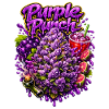 Purple Punch Graffiti Print 