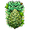 Kush Mints Graffiti Bud Print
