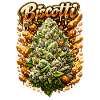 Biscotti-Keks-Graffiti-Kunstdruck