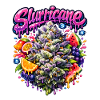 Slurricane Tropical Graffiti Print