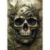 Skull with hemp leaves