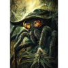 Goggle Spider in Duskwood