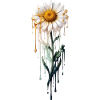 Daisy with dripping paint