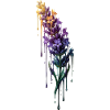 Lavendel mit tropfender Farbe