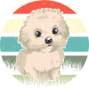 Chien rétro maltais
