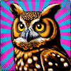 owl