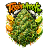 Trainwreck Graffiti Print