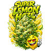 Super Lemon Haze Graffiti Art Print 