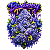 Blueberry Classic Graffiti Print