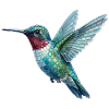 Hummingbird Mosaic - Artful Bird Gift