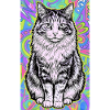 chat