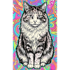 chat