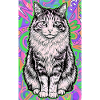 chat