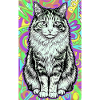 chat