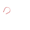 Baseball Auntie Favorite Player