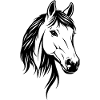 Horse Head Black & White