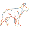 German Shepherd Drawing