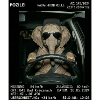 Elefant Geblitzt
