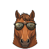 Funny Horse Sunglasses