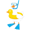 Snorkeling duck with fins