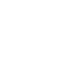Chaos Raccoon Motif