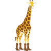 Giraffe mit Stiefel-Statement