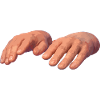 Hands in soft earth tones