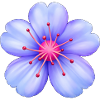 blomma_merch