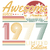 Regalo di compleanno vintage vintage 1977 Retro