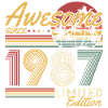 1987 Vintage Vintage Födelsedagspresent Retro
