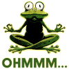 Frog in Meditation: Ohmm Zen