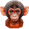 Bébé singe