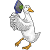 Duck Pickleball