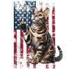 Bengal Cat US Bengalkatze