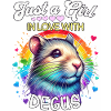 Degu Mädchen Degu