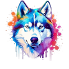 Bunte Husky-Hunde-Splash-Art