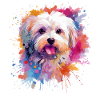 Bunte Malteserhunde-Splash-Art
