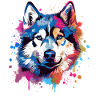 Bunter Hund Splash Art Husky