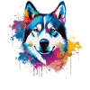 Bunter Husky Splash Art Hund