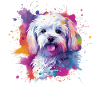 Maltesische bunte Hunde-Splash-Kunst