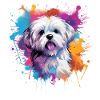 Farbenfrohe Spritzkunst Malteserhund
