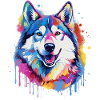 Bunte Splash Art-Husky-Hund
