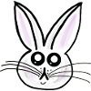 Bunny Easter Bunny Bunny