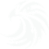 Eagle Silhouette