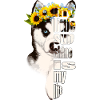 Husky with sunflower wreath