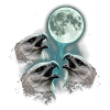 Harpy eagles howling at the moon