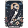 Harpy Eagle Tarot Card